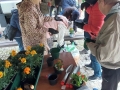 2 Wybieramy doniczki, ziemię, nawóz i sadzonki kwiatów.