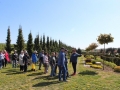 IMG_3858 (Copy)