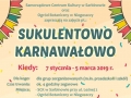 sukulenty1